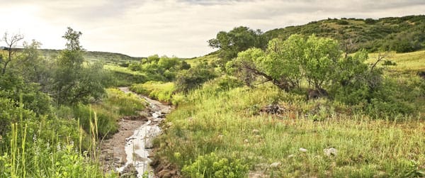 The Canyons In Castle Pines