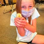 Photo of student at TTE holding newly hatched chick.