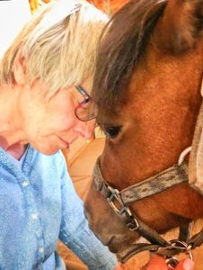 Photo of Equine Partnership Program uses equine-assisted psychotherapy