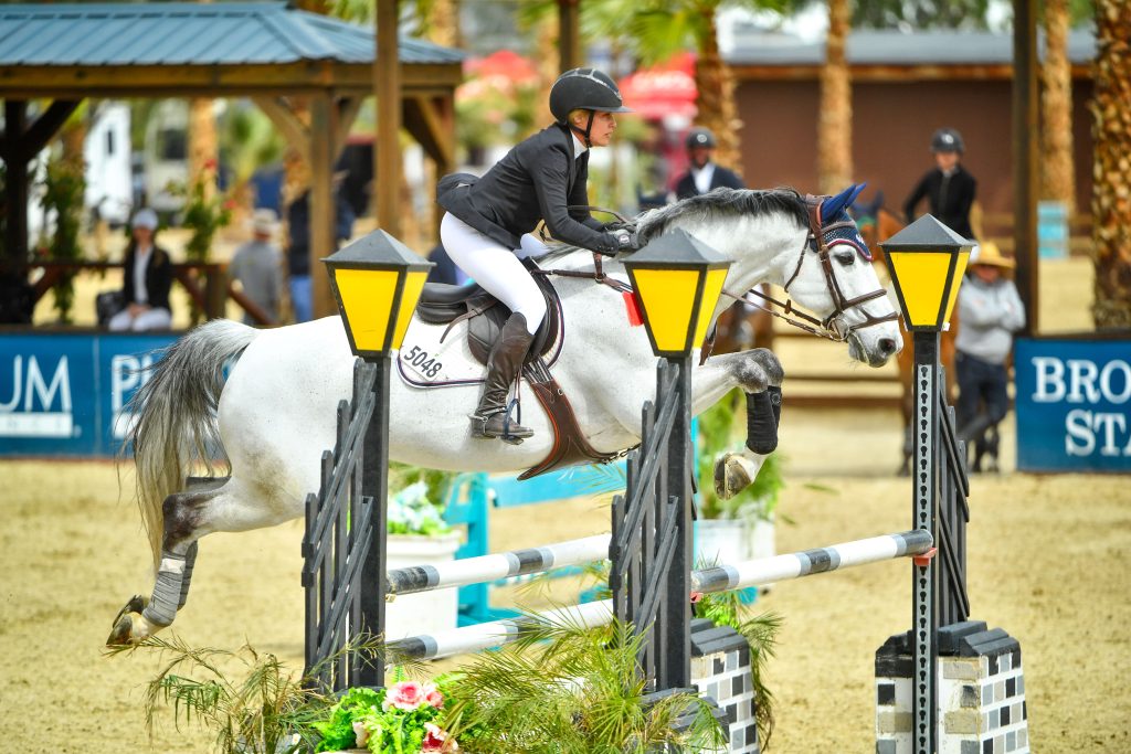 woman on horse jumping in obstacle course