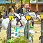 woman on horse jumping in obstacle course