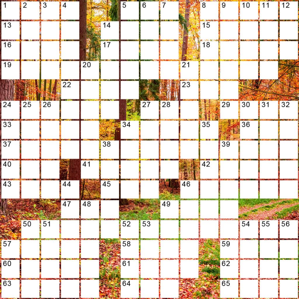 crossword puzzle fall colors leaves