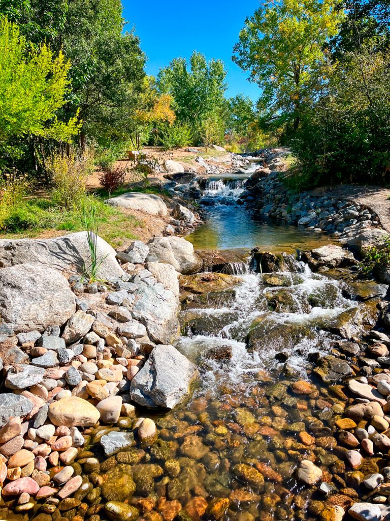 small waterfall in creek on sunny day