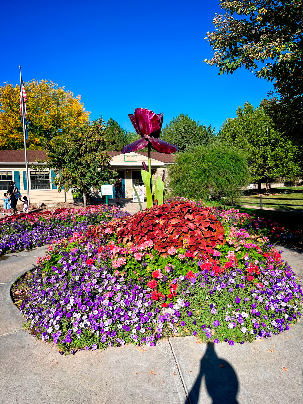 colorful flower landscape outside