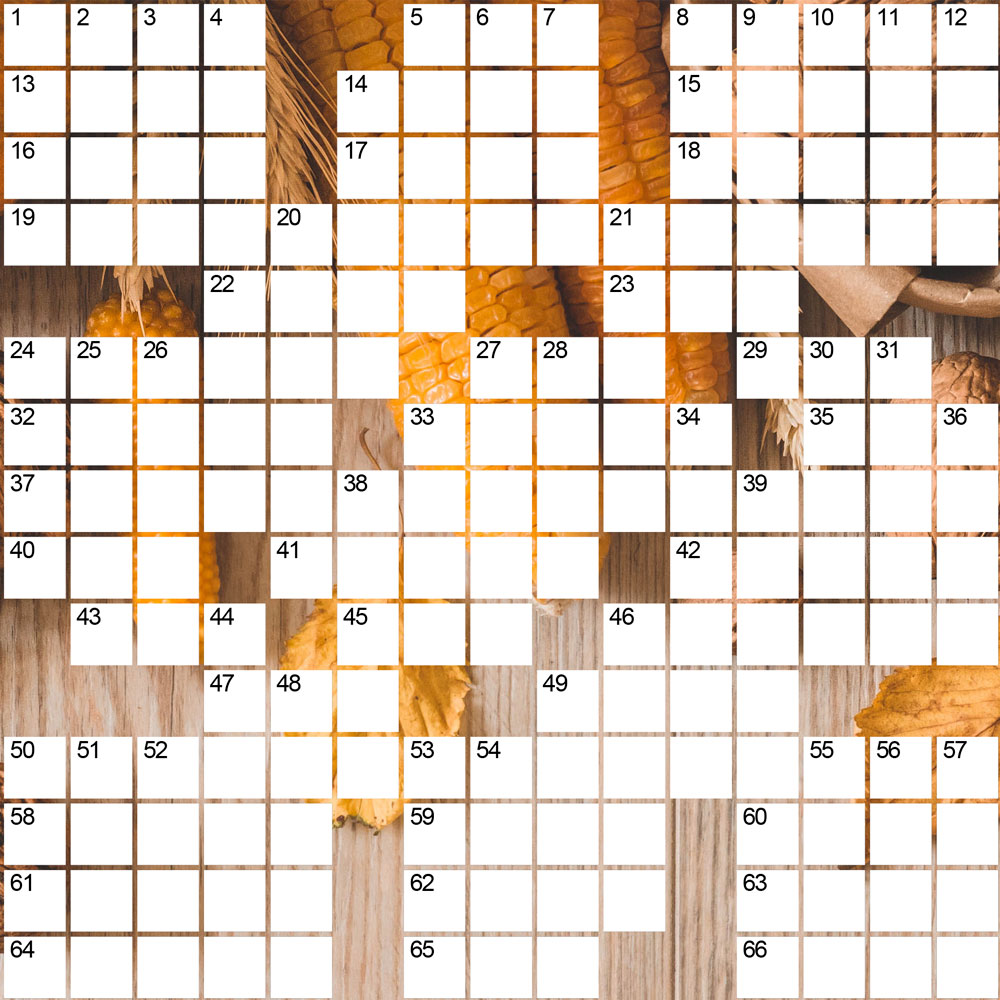 blank crossword puzzle